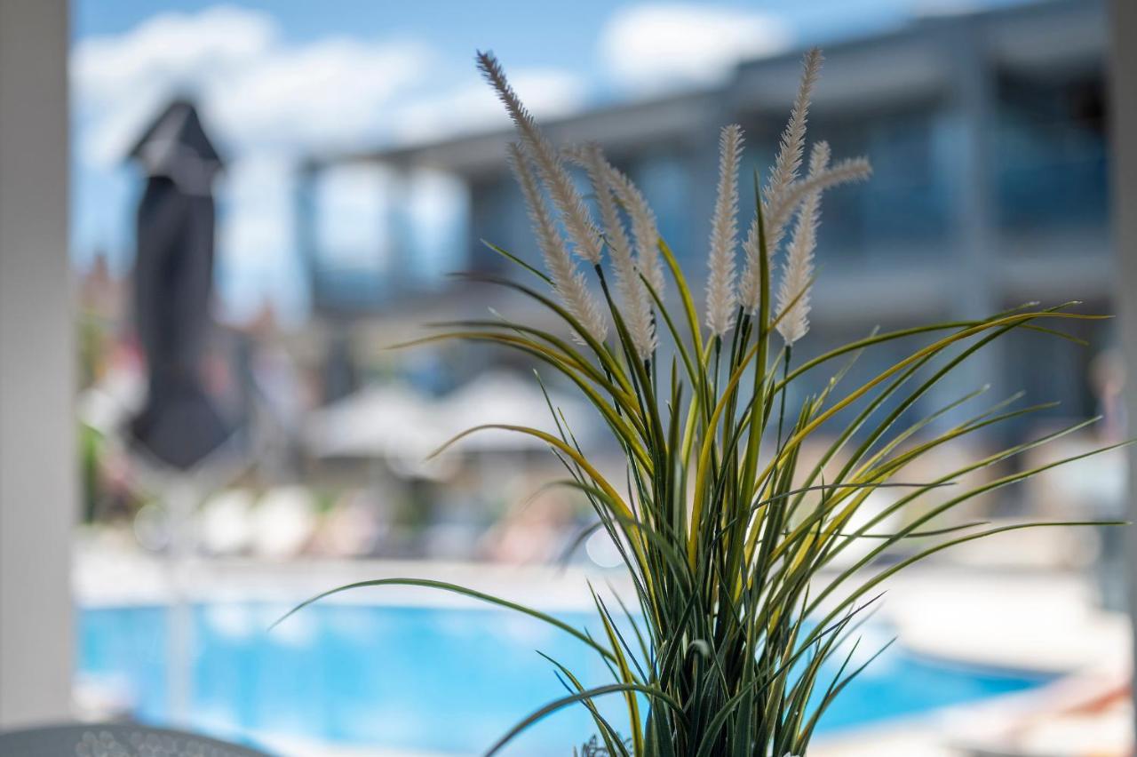 Dionysos Hotel & Suites Hanioti Esterno foto